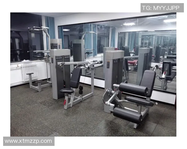 优质体育健身器材生产厂家助力健康生活提升运动体验与品质保障